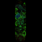 The Raven Article VIII Custom Skateboard